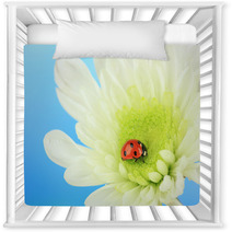 Beautiful Ladybird  On Flower, Close Up Nursery Decor 59865622