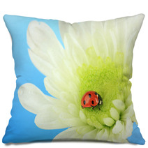 Beautiful Ladybird  On Flower, Close Up Pillows 59865622