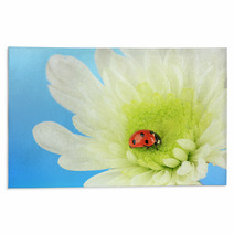 Beautiful Ladybird  On Flower, Close Up Rugs 59865622