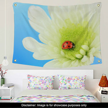Beautiful Ladybird  On Flower, Close Up Wall Art 59865622