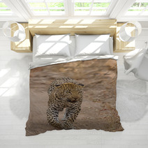 Beautiful Large Male Leopard Walking In Nature Bedding 60843142
