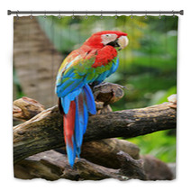 Beautiful Macaw Bath Decor 48302013