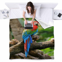 Beautiful Macaw Blankets 48302013