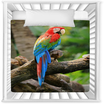 Beautiful Macaw Nursery Decor 48302013