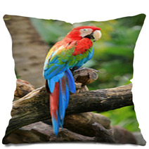 Beautiful Macaw Pillows 48302013