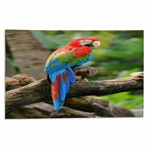 Beautiful Macaw Rugs 48302013