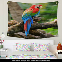 Beautiful Macaw Wall Art 48302013