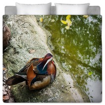 Beautiful Mandarin Duck Bedding 99692005