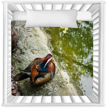 Beautiful Mandarin Duck Nursery Decor 99692005
