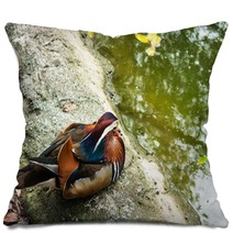 Beautiful Mandarin Duck Pillows 99692005
