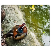 Beautiful Mandarin Duck Rugs 99692005