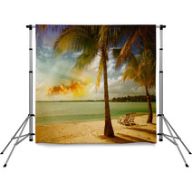 Beautiful Marine Landscape With Tree On A Pristine Beach Backdrops 62108834