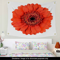 Beautiful Orange Gerbera Flower Isolated On White Wall Art 51361787