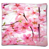 Beautiful Pink Flower Blossom On White Blankets 17085972