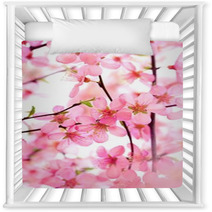 Beautiful Pink Flower Blossom On White Nursery Decor 17085972