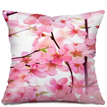 Beautiful Pink Flower Blossom On White Pillows 17085972