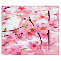 Beautiful Pink Flower Blossom On White Rugs 17085972