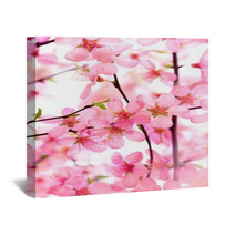 Beautiful Pink Flower Blossom On White Wall Art 17085972