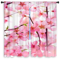 Beautiful Pink Flower Blossom On White Window Curtains 17085972