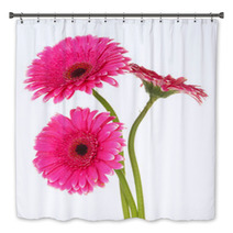Beautiful Pink Gerbera Flowers Isolated On White Bath Decor 55741016