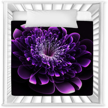 Beautiful Purple Flower On Black Background. Computer Generated Nursery Decor 64578132