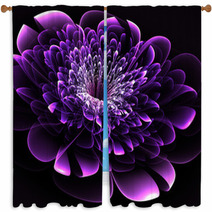 Beautiful Purple Flower On Black Background. Computer Generated Window Curtains 64578132