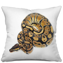 Beautiful Python Pillows 56723606