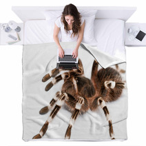 Beautiful Spider Blankets 48140399