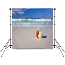 Beautiful Tropical Shell On The Beach Vacation Backdrops 64864984