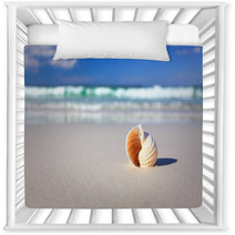 Beautiful Tropical Shell On The Beach Vacation Nursery Decor 64864984
