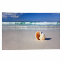 Beautiful Tropical Shell On The Beach Vacation Rugs 64864984