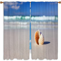 Beautiful Tropical Shell On The Beach Vacation Window Curtains 64864984