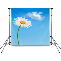 Beautiful White Daisy In Front Of The Blue Sky. Vector. Backdrops 48903422
