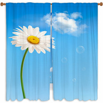 Beautiful White Daisy In Front Of The Blue Sky. Vector. Window Curtains 48903422