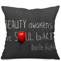 Beauty Awakens Pillows 64703513