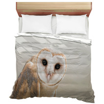 Owl Bedding 103314895
