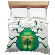 Beetle Chrysolina Graminis Bedding 67633587