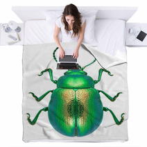 Beetle Chrysolina Graminis Blankets 67633587