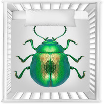 Beetle Chrysolina Graminis Nursery Decor 67633587