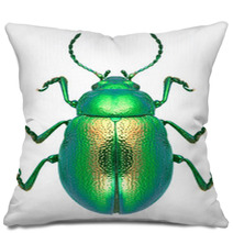 Beetle Chrysolina Graminis Pillows 67633587