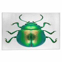 Beetle Chrysolina Graminis Rugs 67633587