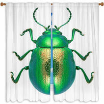 Beetle Chrysolina Graminis Window Curtains 67633587
