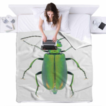Beetle Lytta Vesicatoria Blankets 66568272