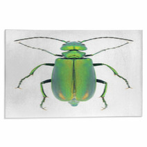 Beetle Lytta Vesicatoria Rugs 66568272