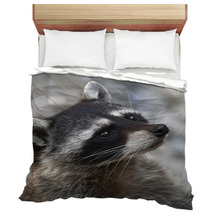 Begging Look Of A Racoon Bedding 99174002