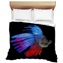 Betta Splendens - Siamese Fighting Fish On A Black Background Bedding 71454171