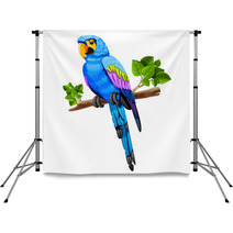 Big Blue Parrot On A Branch Backdrops 61989367