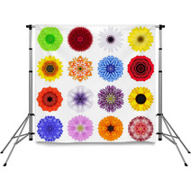 Big Collection Of Various Concentric Flowers Isolated On White Backdrops 70388488