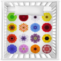 Big Collection Of Various Concentric Flowers Isolated On White Nursery Decor 70388488