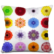 Big Collection Of Various Concentric Flowers Isolated On White Pillows 70388488